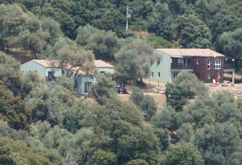 Bed and Breakfast La Pampa Cargese Chambres D Hotes