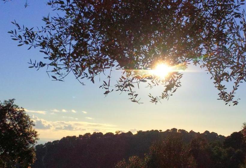 Bed and Breakfast La Pampa Cargese Chambres D Hotes