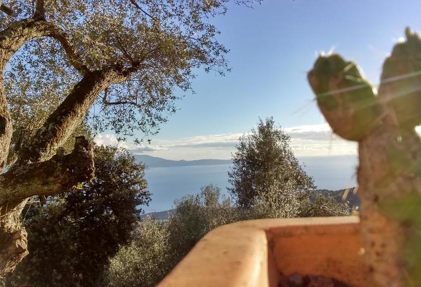 Bed and Breakfast La Pampa Cargese Chambres D Hotes