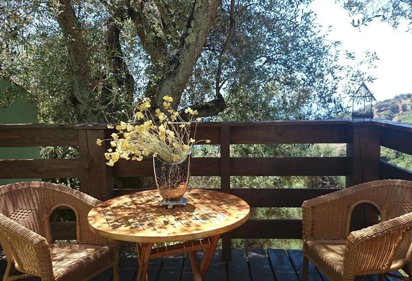 Bed and Breakfast La Pampa Cargese Chambres D Hotes