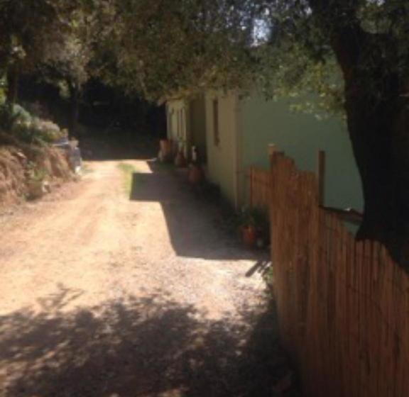 Bed and Breakfast La Pampa Cargese Chambres D Hotes