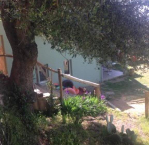 Bed and Breakfast La Pampa Cargese Chambres D Hotes