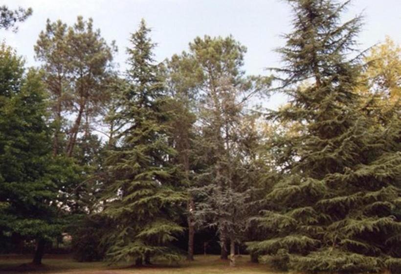 Bed and Breakfast L Aiguade