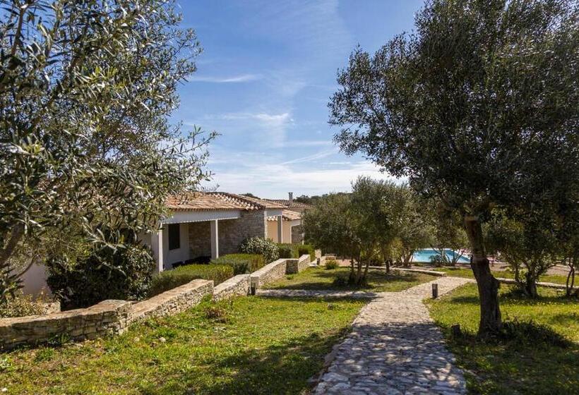 Bed and Breakfast L Albitru