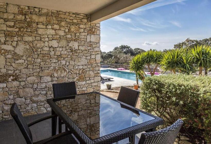 Bed and Breakfast L Albitru