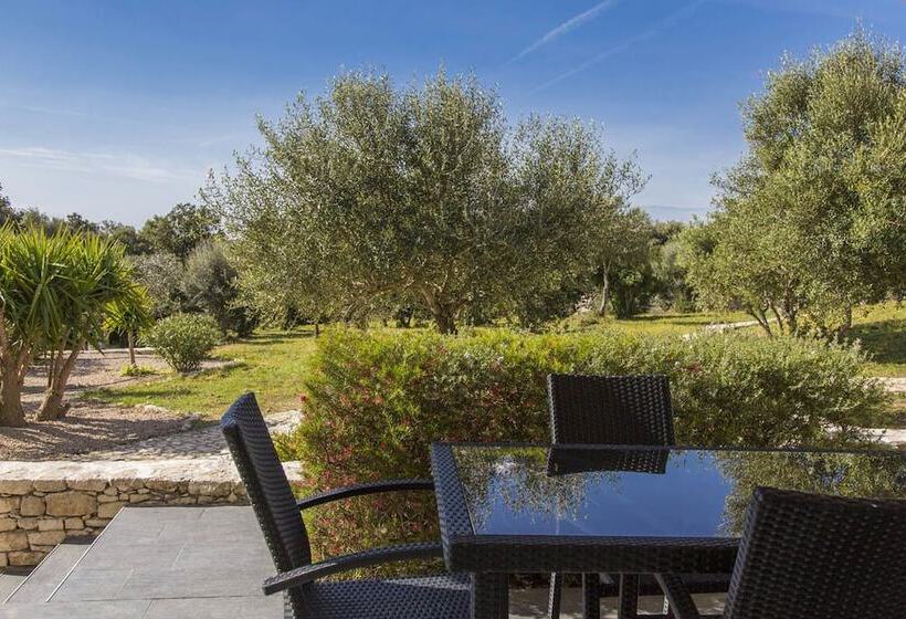 Bed and Breakfast L Albitru