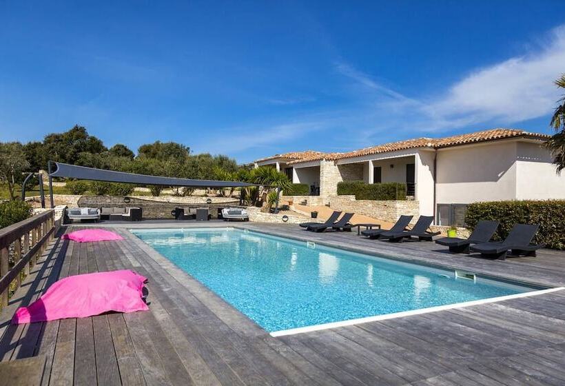 Bed and Breakfast L Albitru