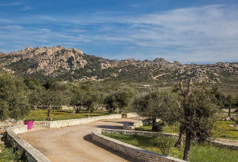 Bed and Breakfast L Albitru