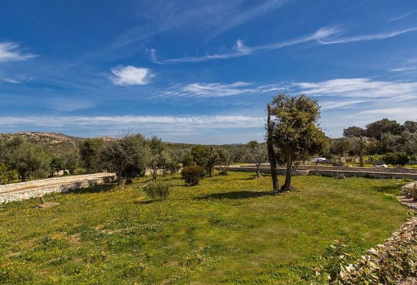 Bed and Breakfast L Albitru