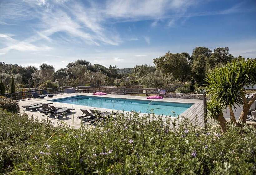 Bed and Breakfast L Albitru