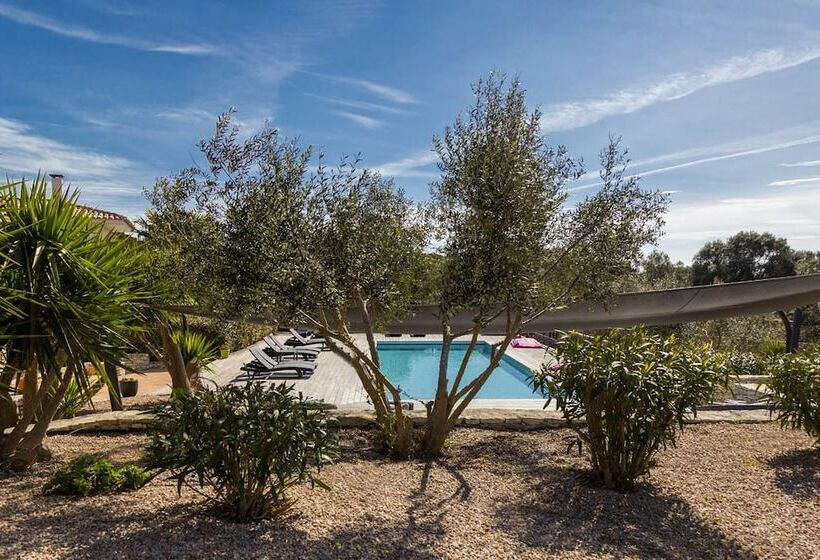 Bed and Breakfast L Albitru