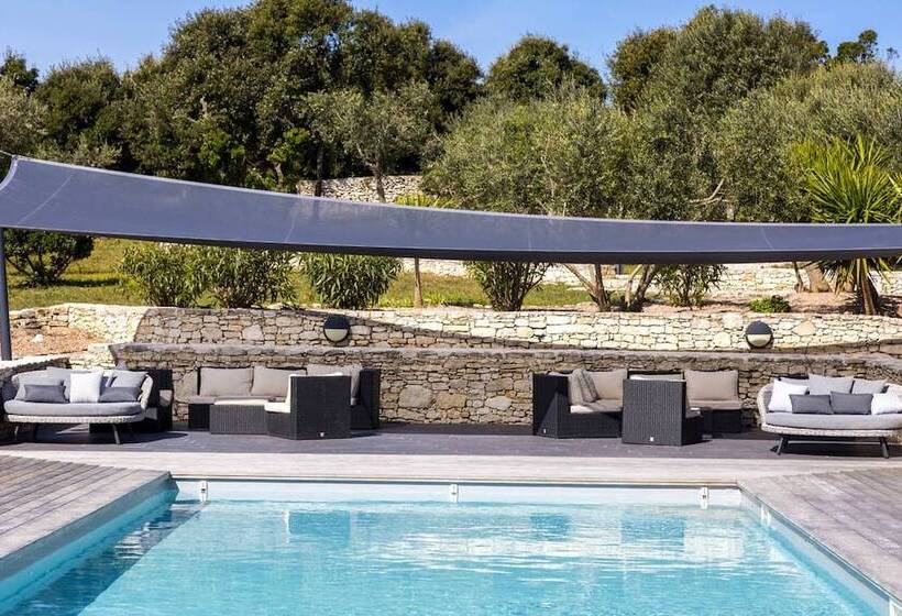 Bed and Breakfast L Albitru