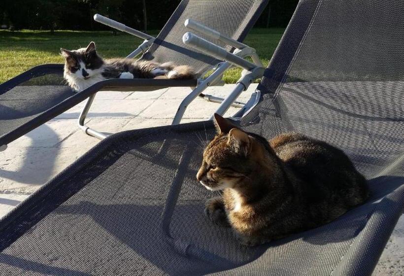 צימר L Améthyste