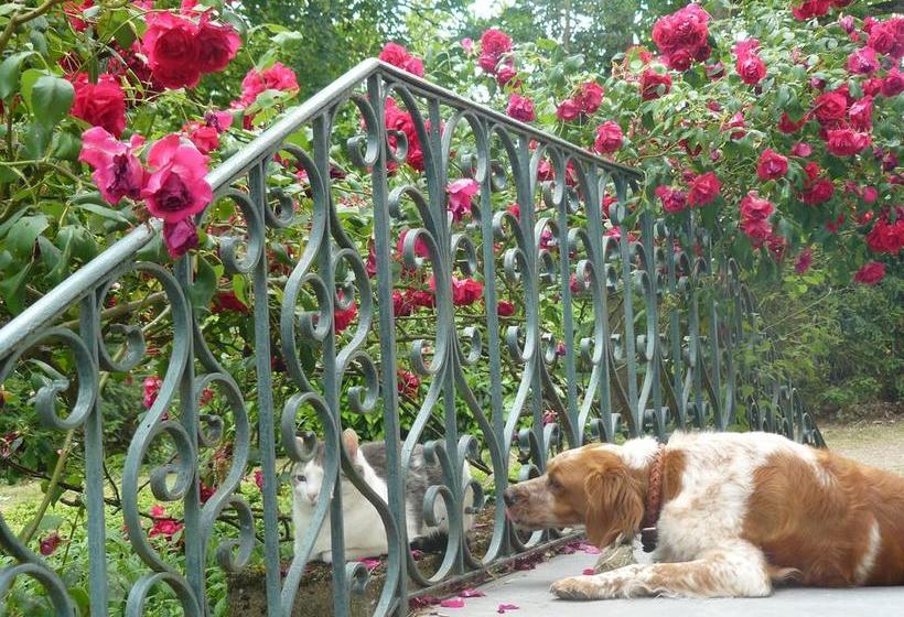 住宿加早餐  L île ô Reflets