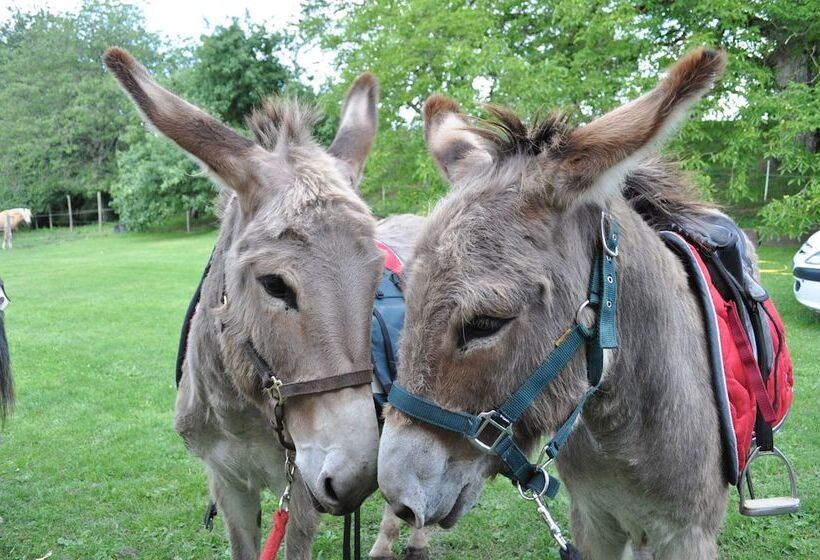 Bed and Breakfast La Barillerie