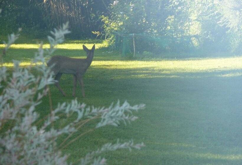 住宿加早餐  La Belle Relax