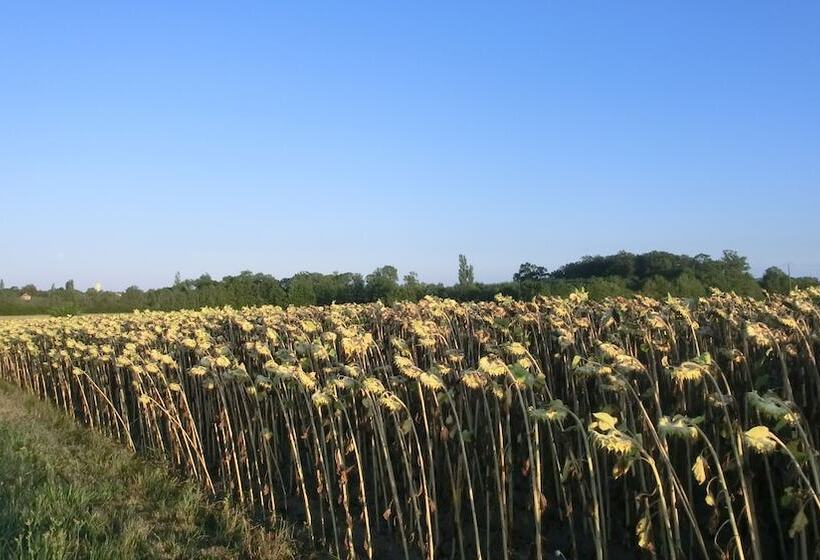 住宿加早餐  La Fontenelle Chambres D'hôtes