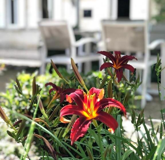 تختخواب و صبحانه La Gomerie Chambres D'hotes