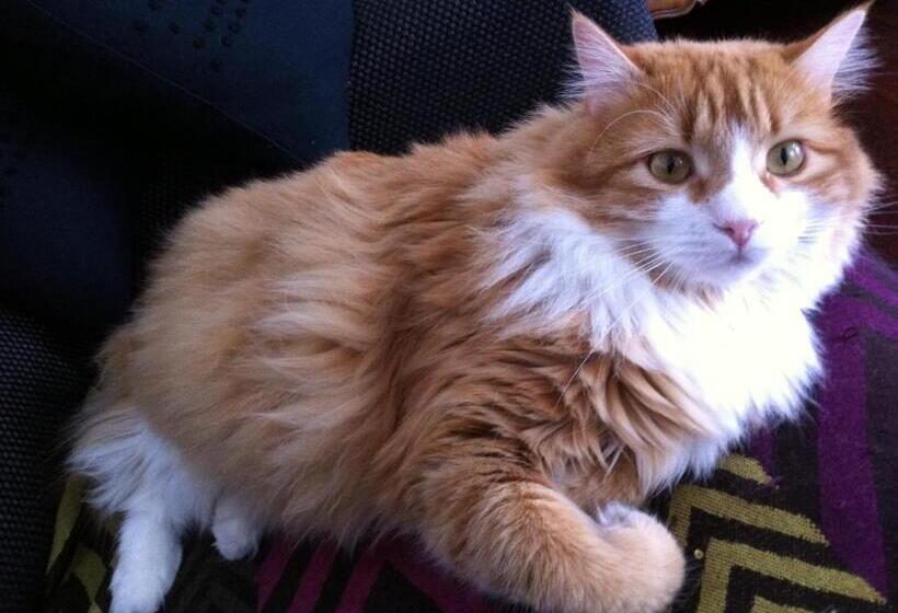 민박 La Maison Carolane