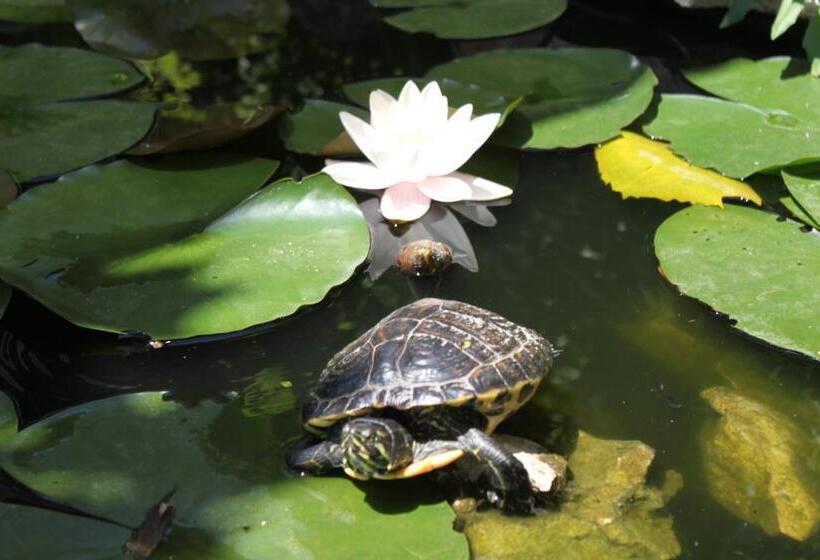 住宿加早餐  Le Mas De Bertagne