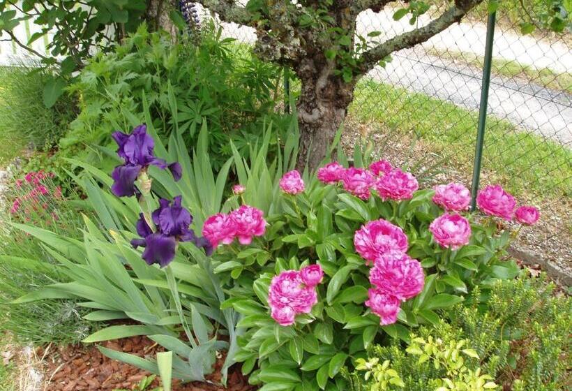 مبيت وإفطار Le Mas De Gramat