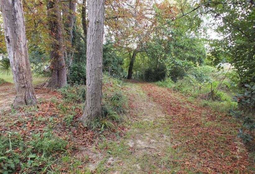 צימר Le Trianon De Salies