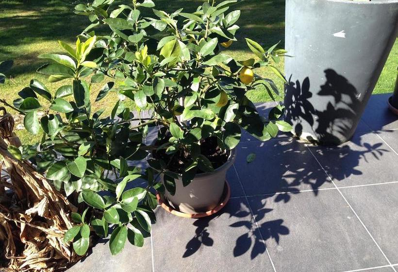 צימר Les Camelias
