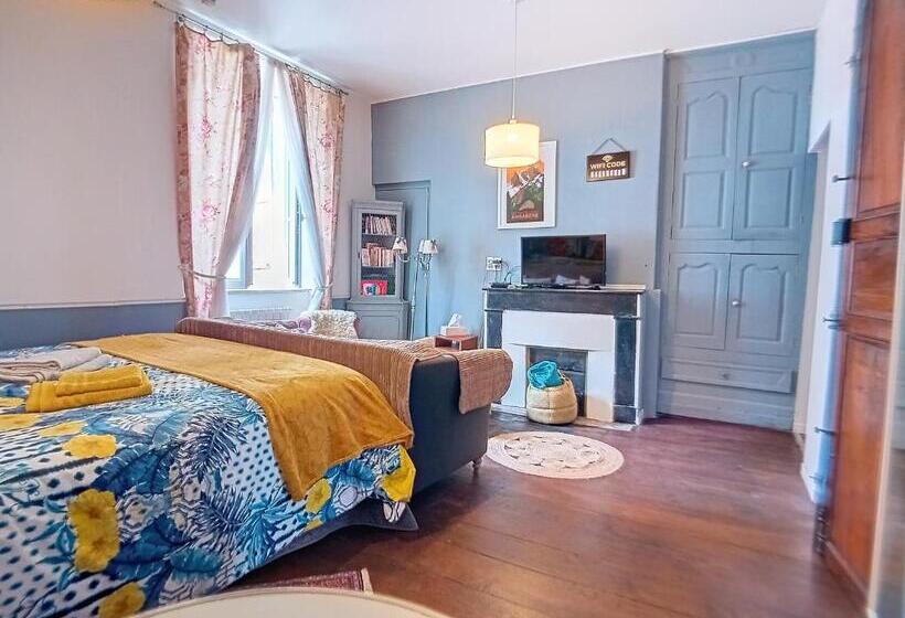 مبيت وإفطار Les Glycines Oloron