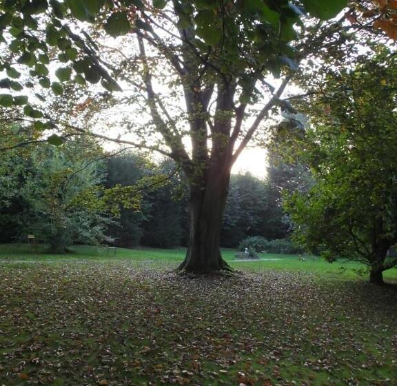 تختخواب و صبحانه L'escarbotine