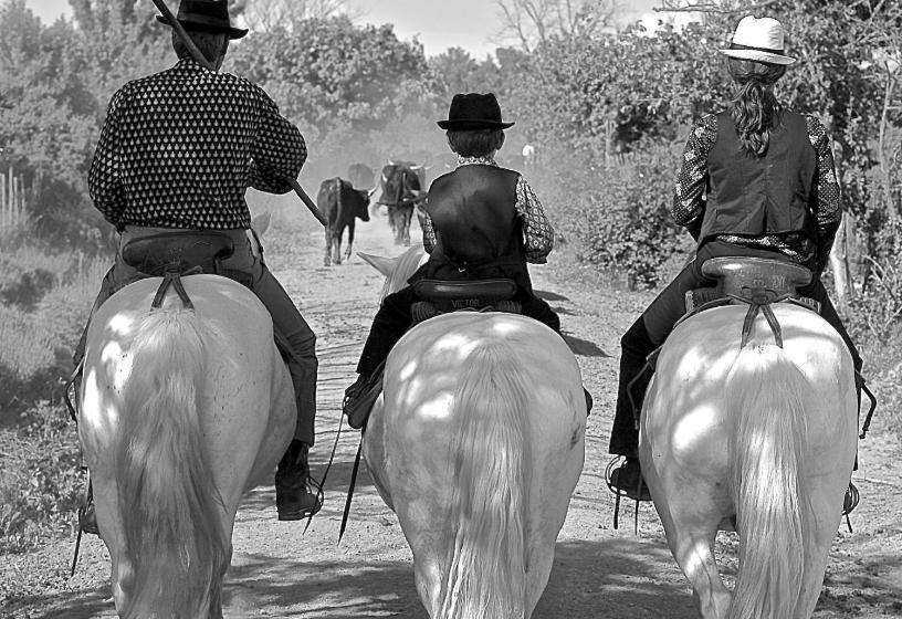تختخواب و صبحانه Mas Du Menage En Camargue Manade Clauzel