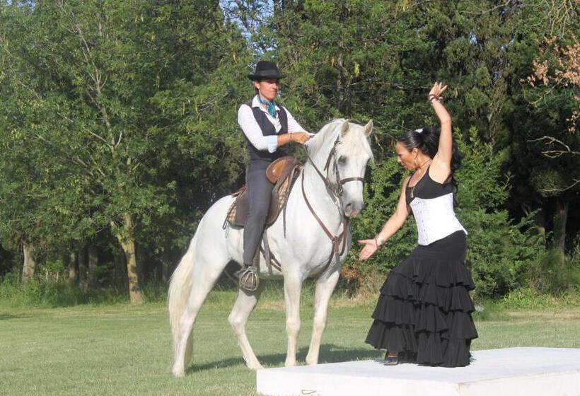 住宿加早餐  Mas Du Menage En Camargue Manade Clauzel