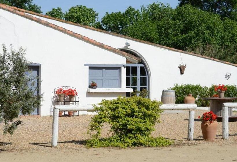 住宿加早餐  Mas Du Menage En Camargue Manade Clauzel