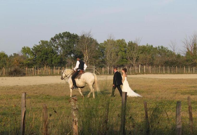 تختخواب و صبحانه Mas Du Menage En Camargue Manade Clauzel
