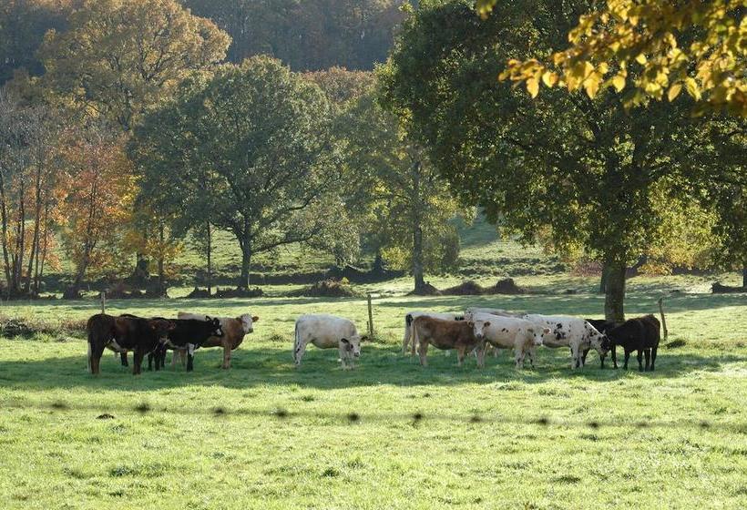 住宿加早餐 Domfront Numero Cinq