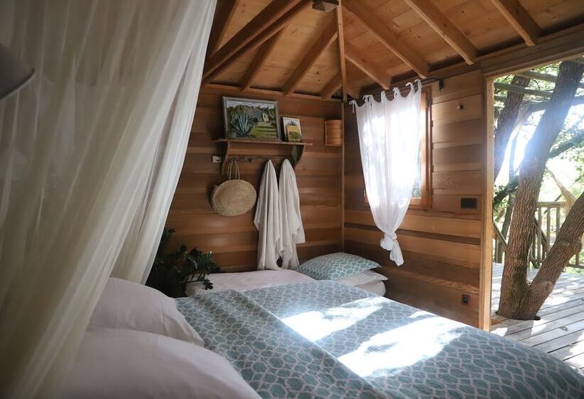 مبيت وإفطار Orion Tree Houses