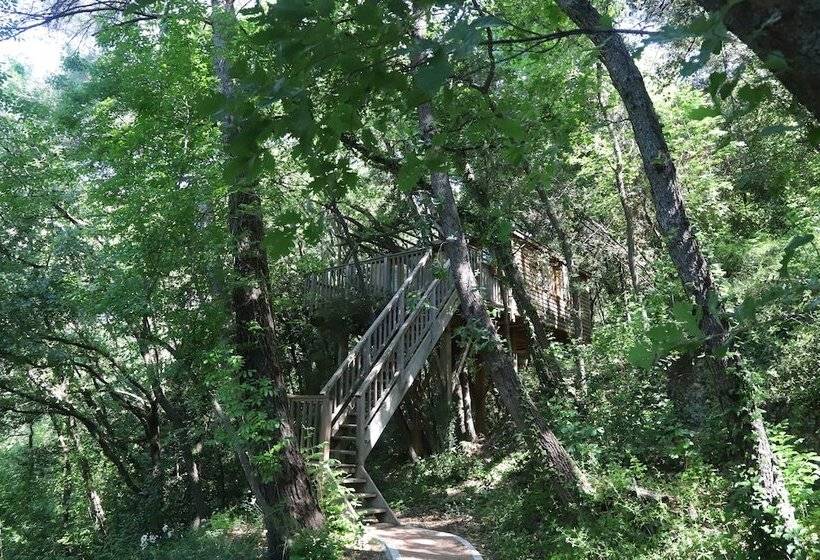 مبيت وإفطار Orion Tree Houses