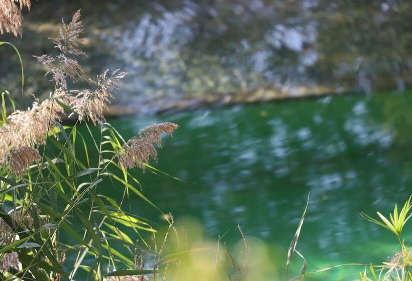 مبيت وإفطار Orion Tree Houses