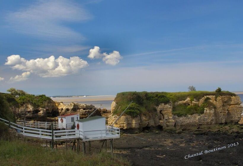 민박 Chambre D Hotes Les Volets Bleus   Villa L Olivier Côté Mer