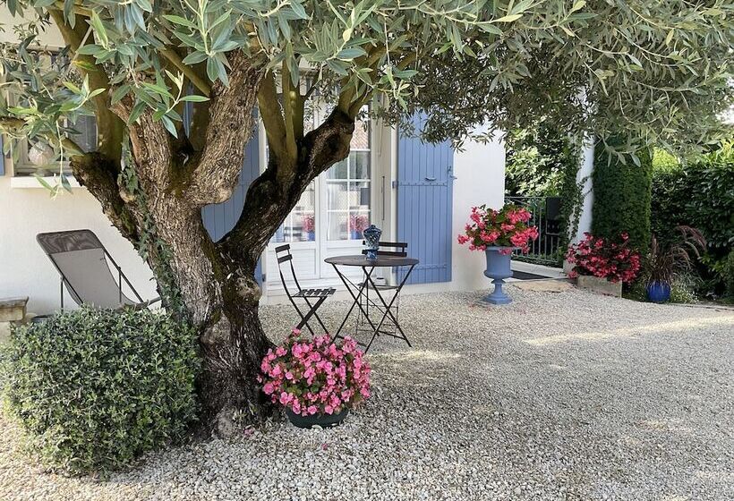 민박 Chambre D Hotes Les Volets Bleus   Villa L Olivier Côté Mer