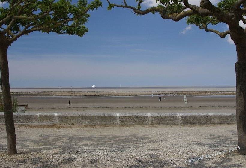 민박 Chambre D Hotes Les Volets Bleus   Villa L Olivier Côté Mer