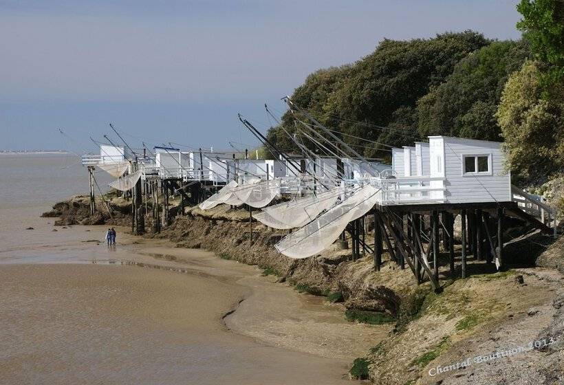 민박 Chambre D Hotes Les Volets Bleus   Villa L Olivier Côté Mer