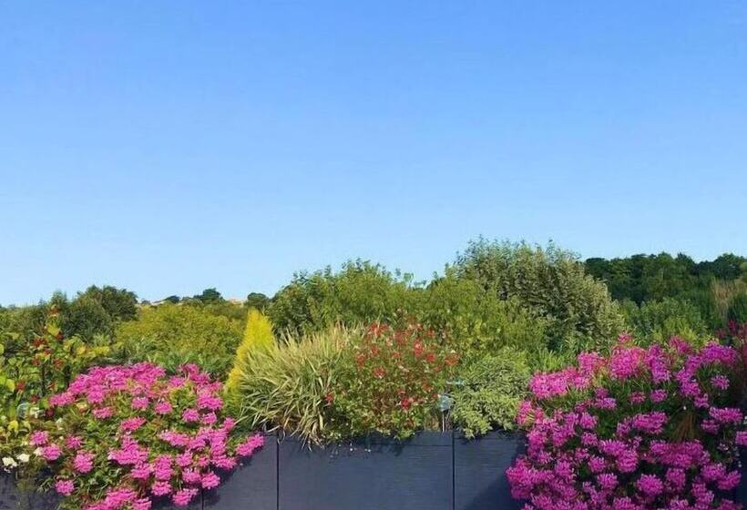 민박 Chambre D Hotes Les Volets Bleus   Villa L Olivier Côté Mer