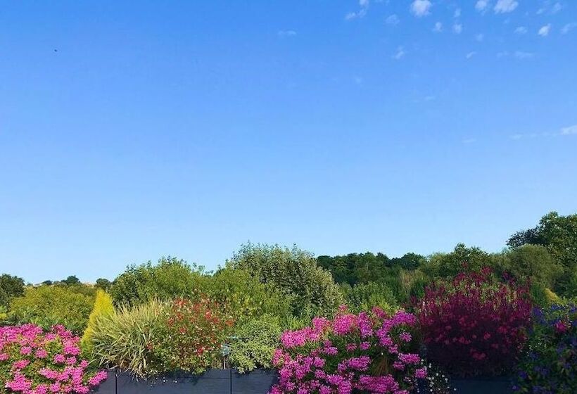 민박 Chambre D Hotes Les Volets Bleus   Villa L Olivier Côté Mer