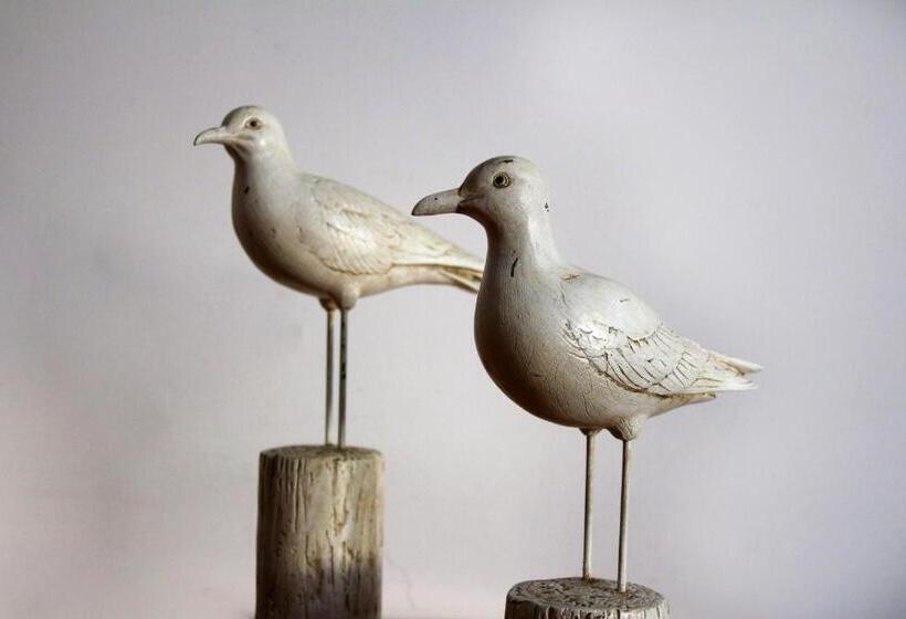 住宿加早餐 Villa Les Palmiers