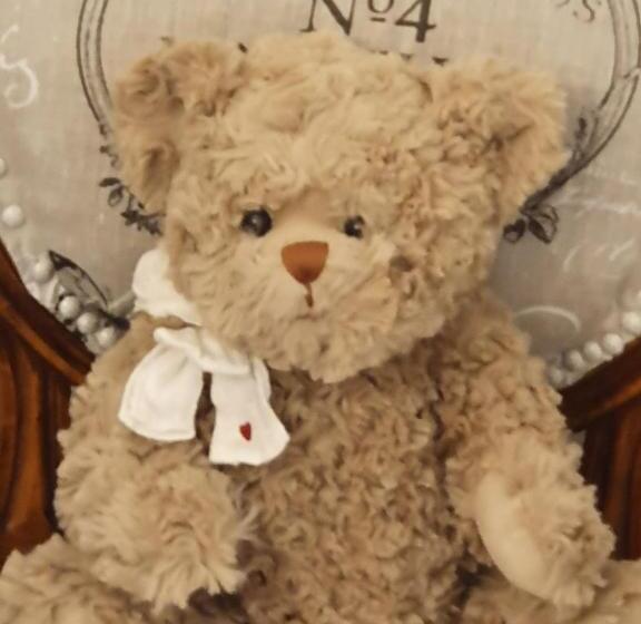 住宿加早餐 Villa Les Palmiers