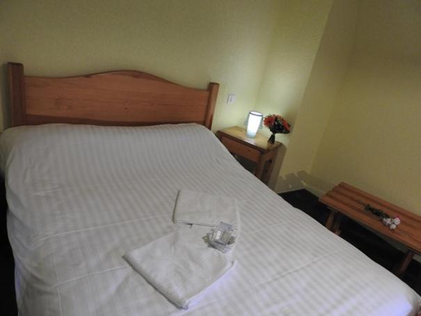 ホテル Aux Globe Trotters