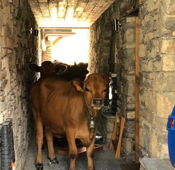 בית מלון כפרי Black Diamond Lodge