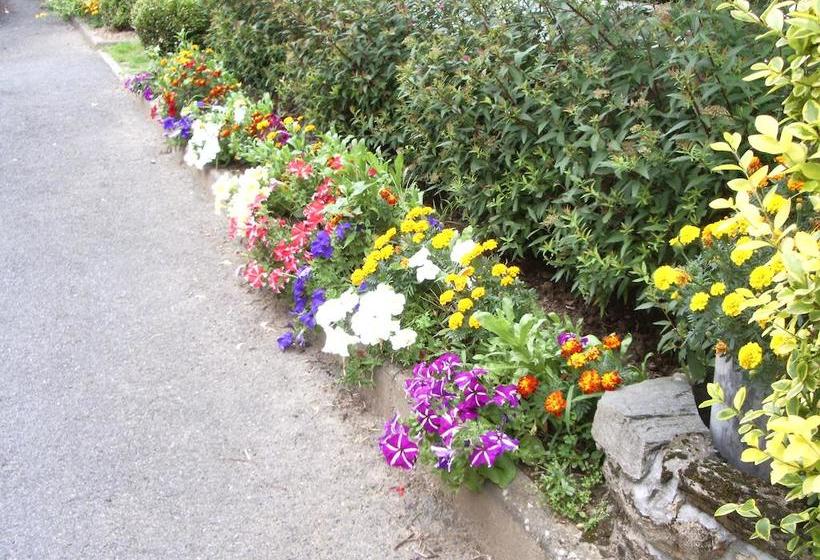 فندق De L'hippodrome