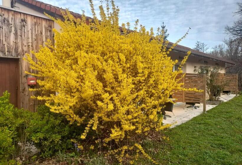 فندق De L'ile D'amour