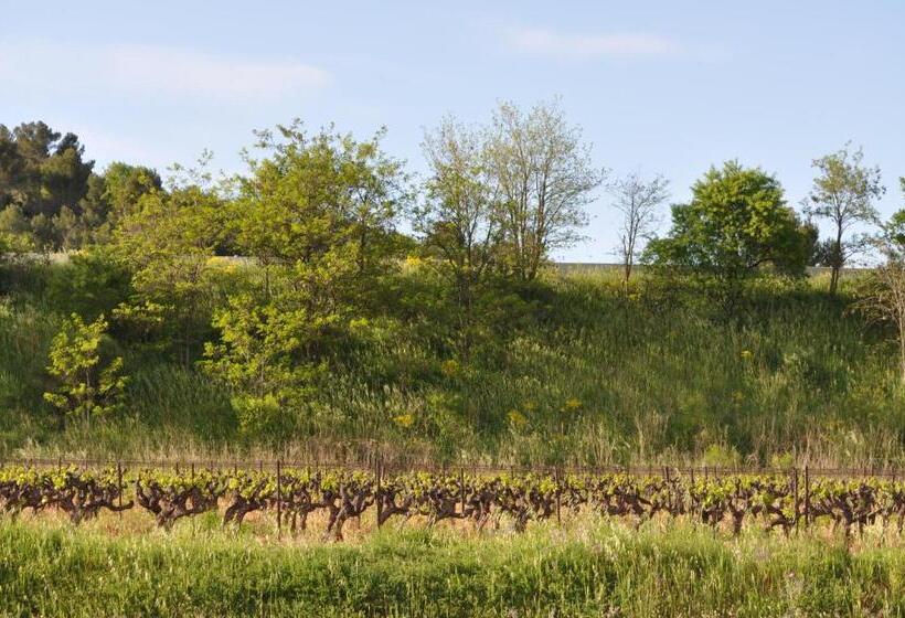 בית מלון כפרי Ibis Budget Le Cannet Des Maures